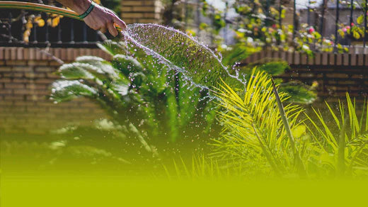 21 Front Garden Ideas For Every Type of Budget