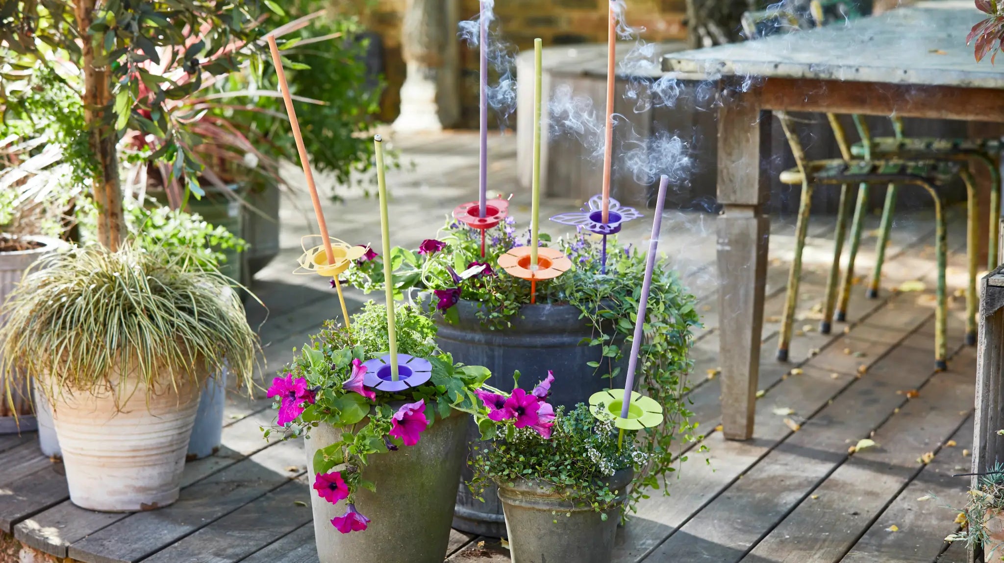 Garden Design Ideas On A Budget