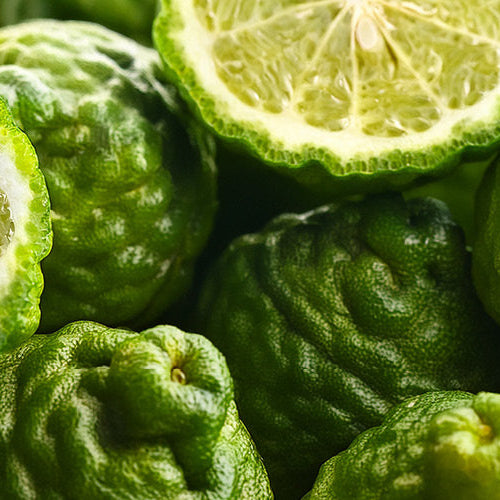 Bergamot Candles and Scents hero image