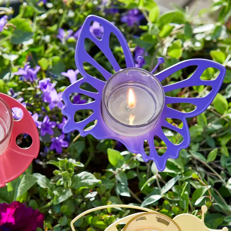 Save 35% on Fragrance of the Month