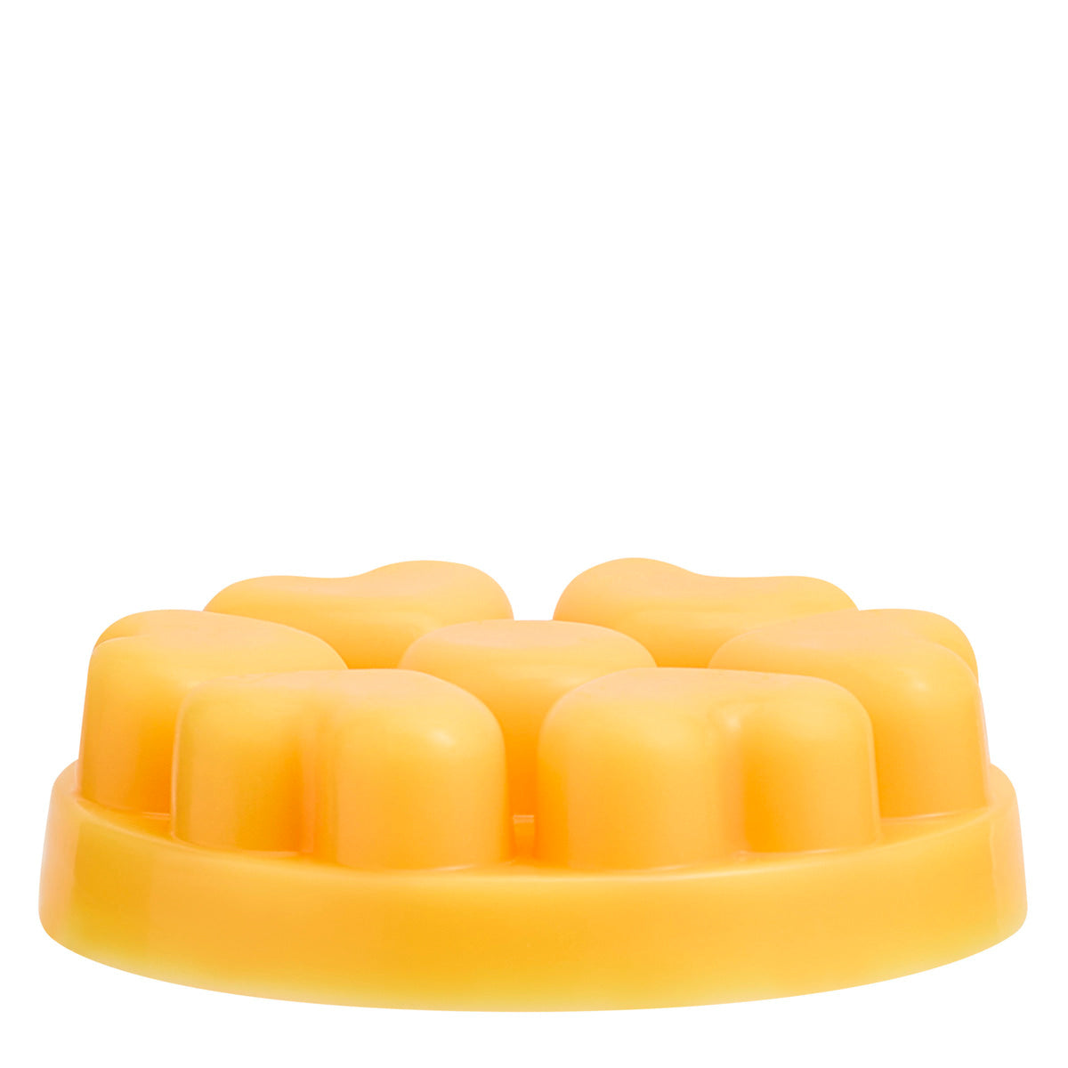 Sun Orchid Pineapple wax melt shown with a white background