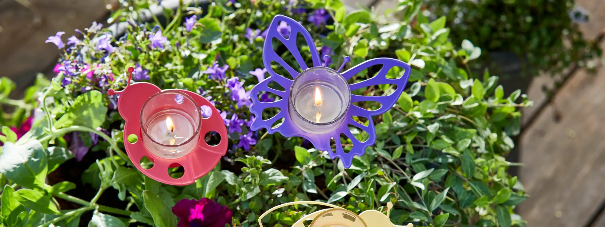 Save 35% on Fragrance of the Month