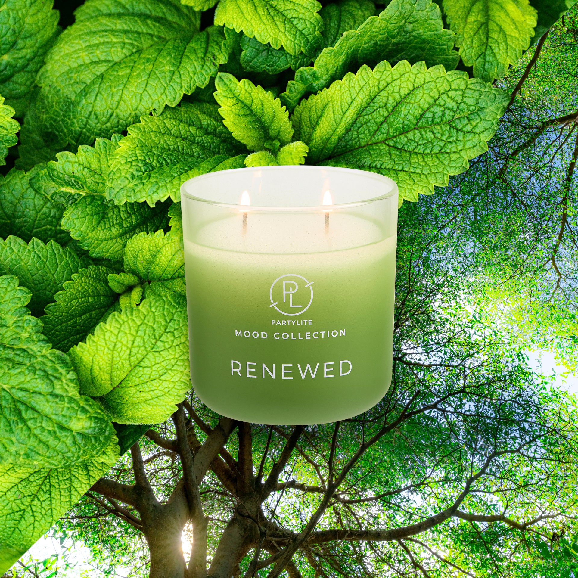 Our Special Offers PartyLite PartyLite UK our-special-offers-partylite-partylite-uk