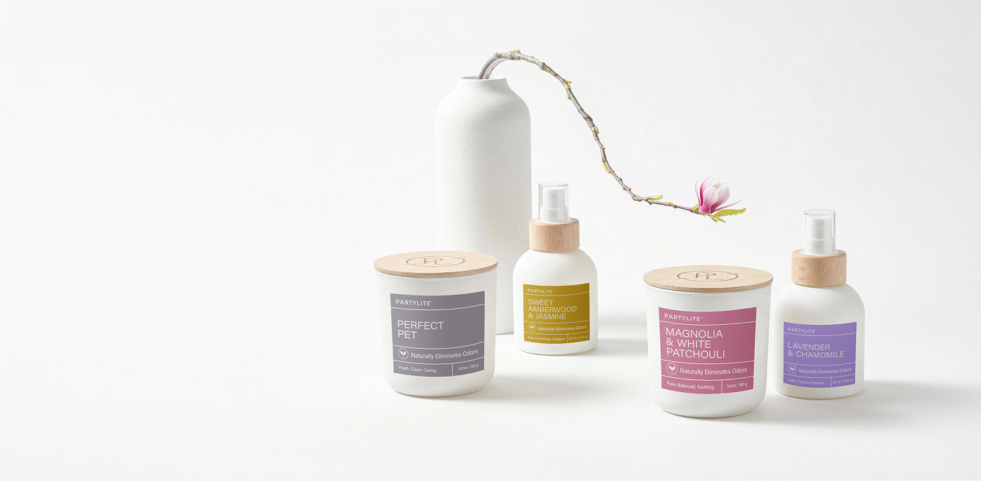 Fresh home jars and room sprays on a white background. Vase with flower behind them. 