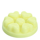 Wild Ferns & Fireflies pale yellow wax melts against a white background.
