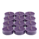 Twelve Twilight Violet & Patchouli Universal Tealight® Candles, purple coloured wax in  plastic tealight cups shown against a white background.