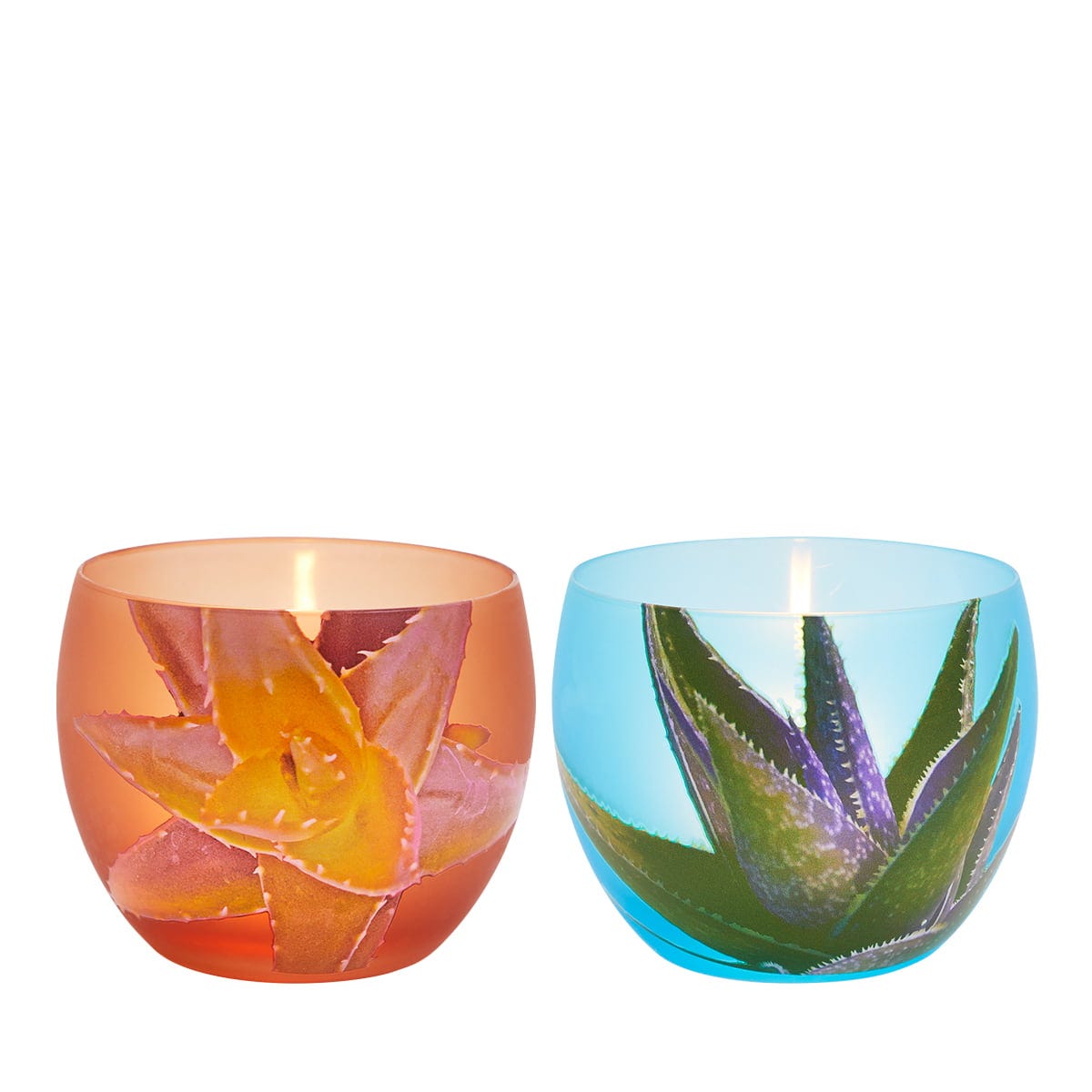 Cacti Tealight Holder Pair