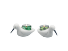 ,,,,,,,,,,